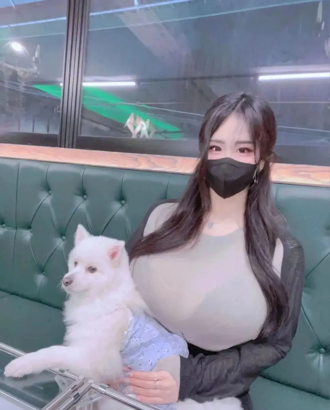 IMF报告：中东战事加剧全球金融稳定风险